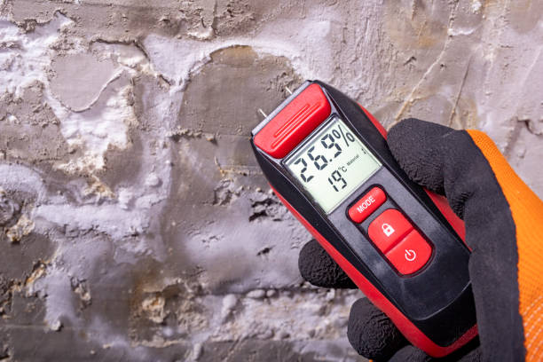 Best Commercial Mold Removal  in Rosamond, CA