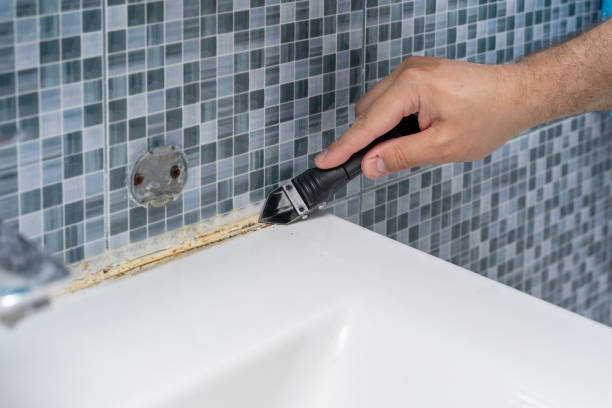 Best Mold Testing and Removal  in Rosamond, CA