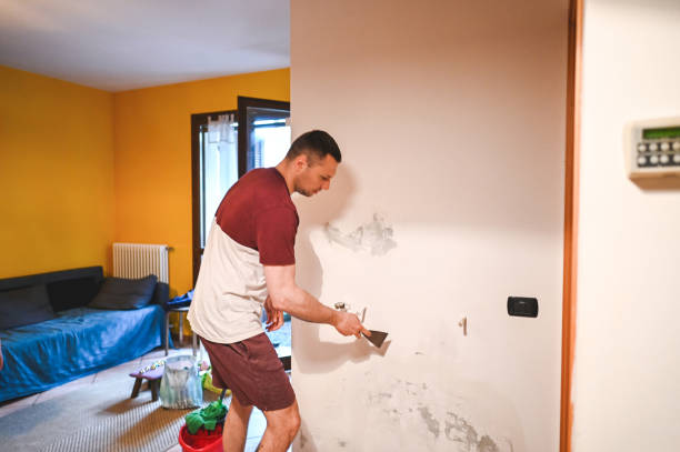 Best Black Mold Removal  in Rosamond, CA
